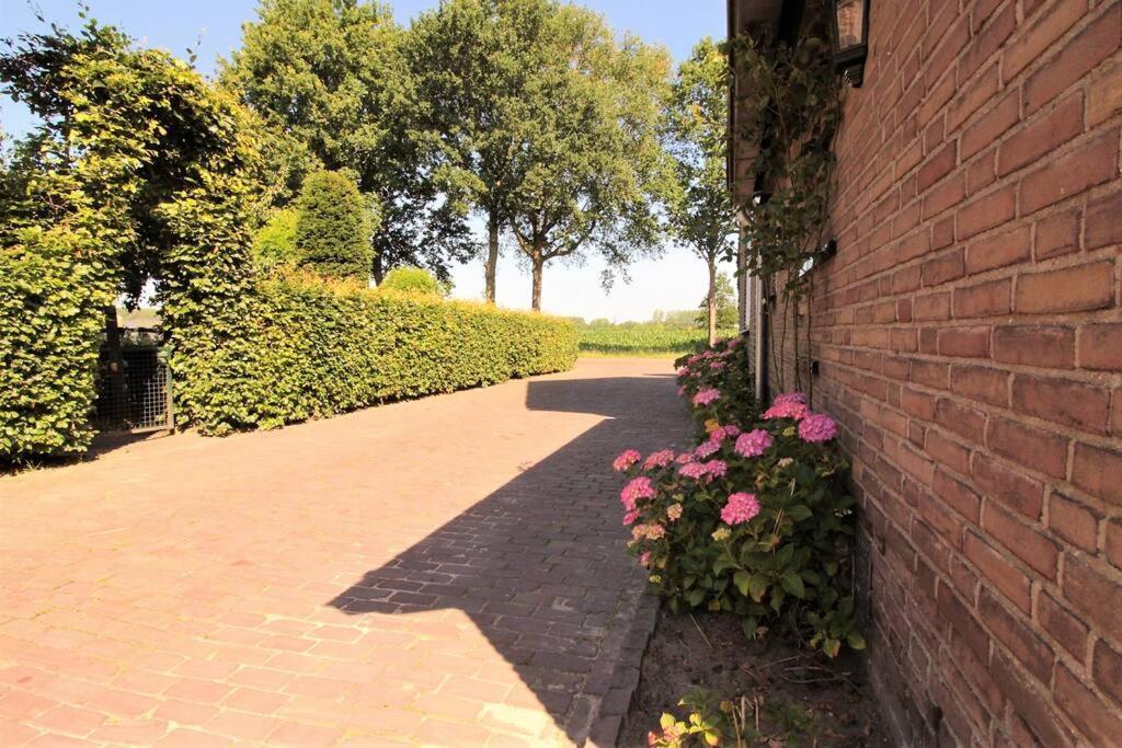'T Hoefijzer Sint-Oedenrode Exteriör bild